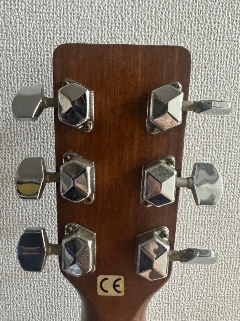 cat's eyesアコースティックギター　ソフトケース付き