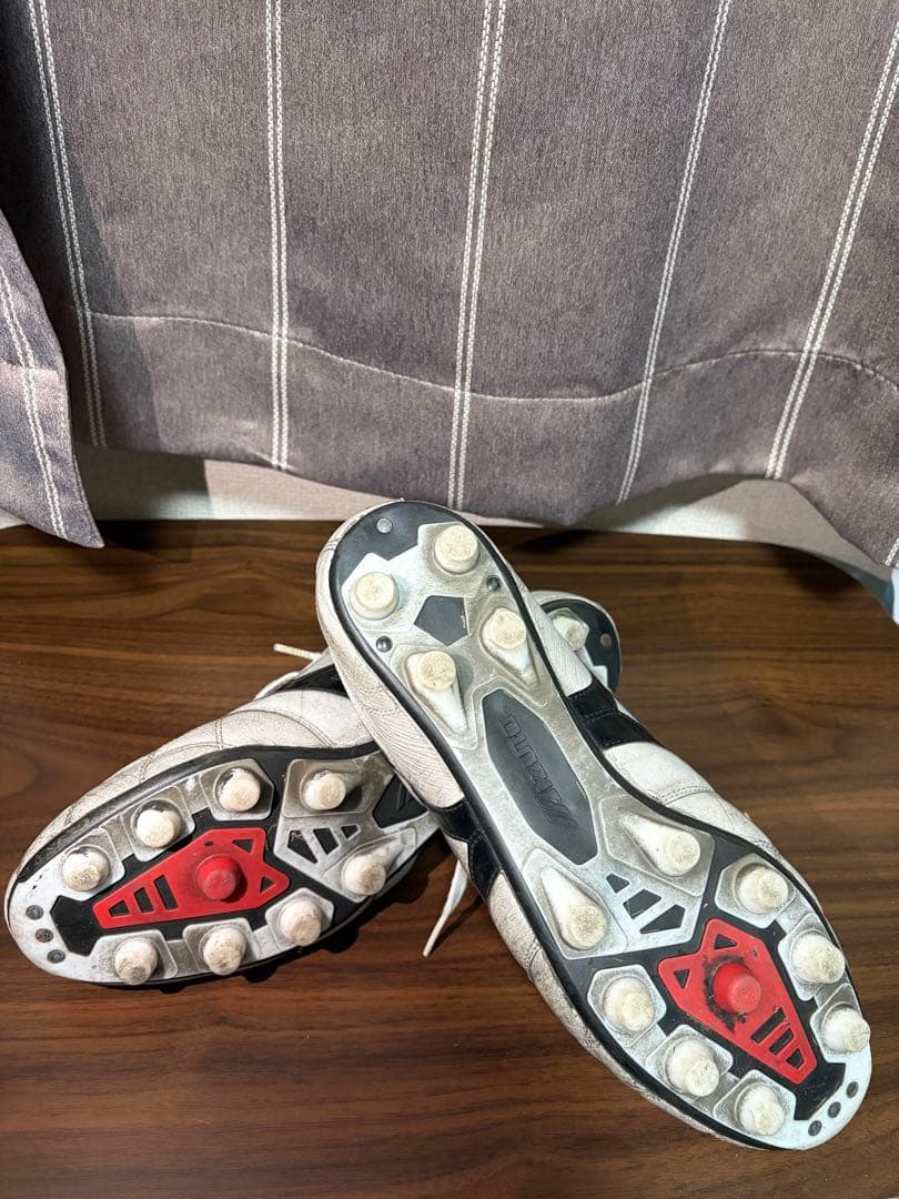 Dala　モレリア2 Japan クロスステッチ　28cm