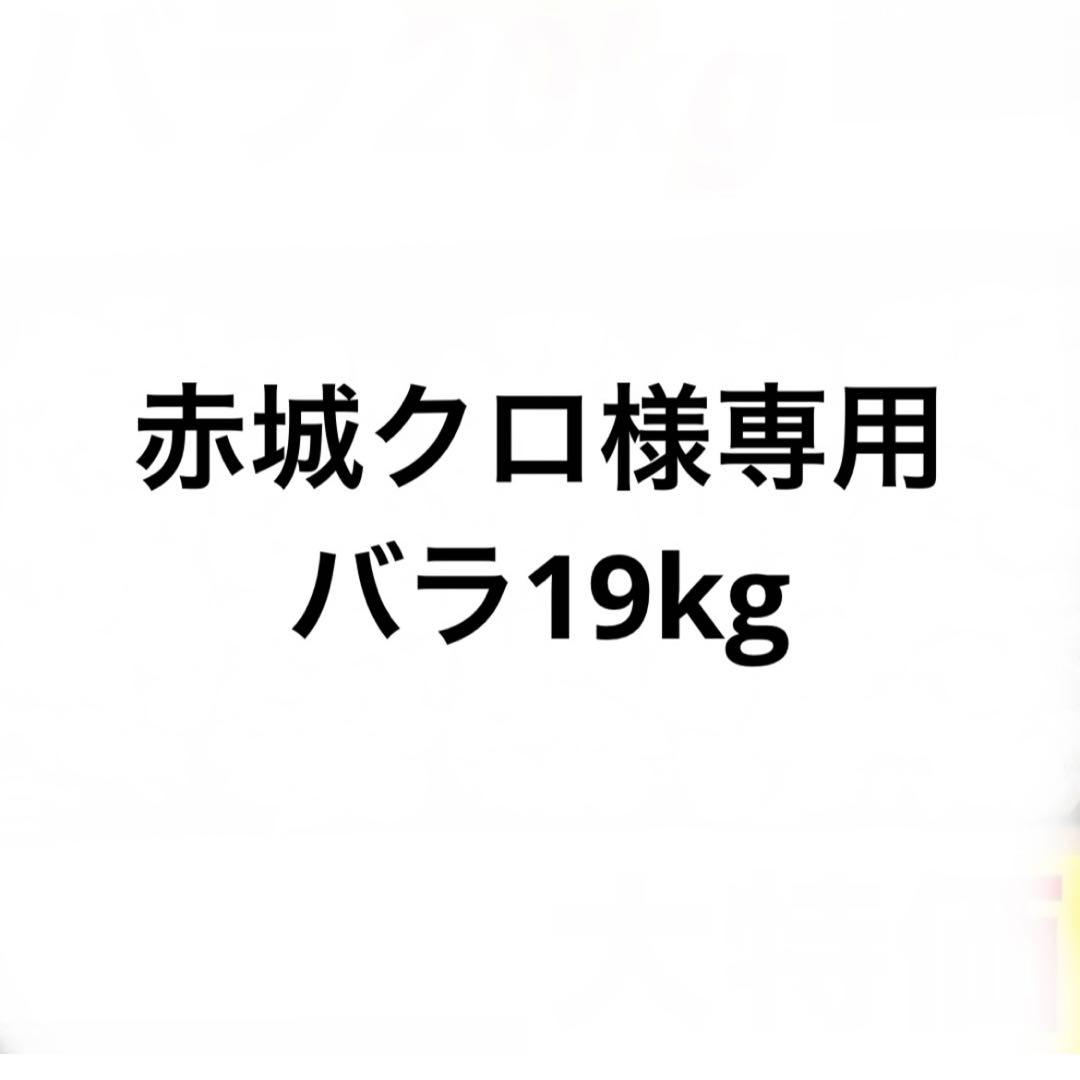 【専用ページ】新物 青森県産 にんにく バラ 19kg 福地ホワイト 種 食用