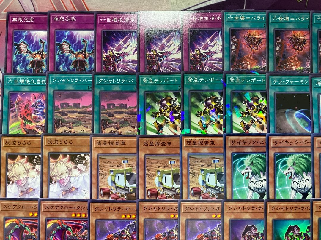 【24時間以内発送】遊戯王　クシャトリラ　大会構築デッキ