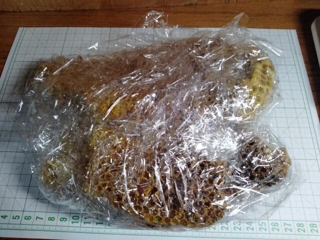 昆虫標本　ニホンミツバチ　巣盤　3番　3270g