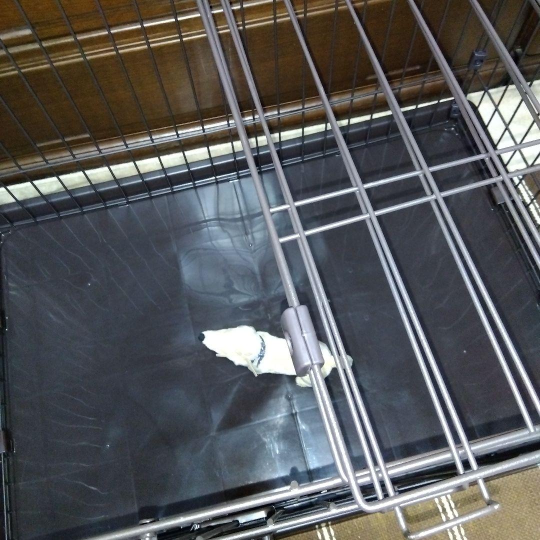 LIFELEX キャスター付きケージ 中型犬用 ほぼ未使用品