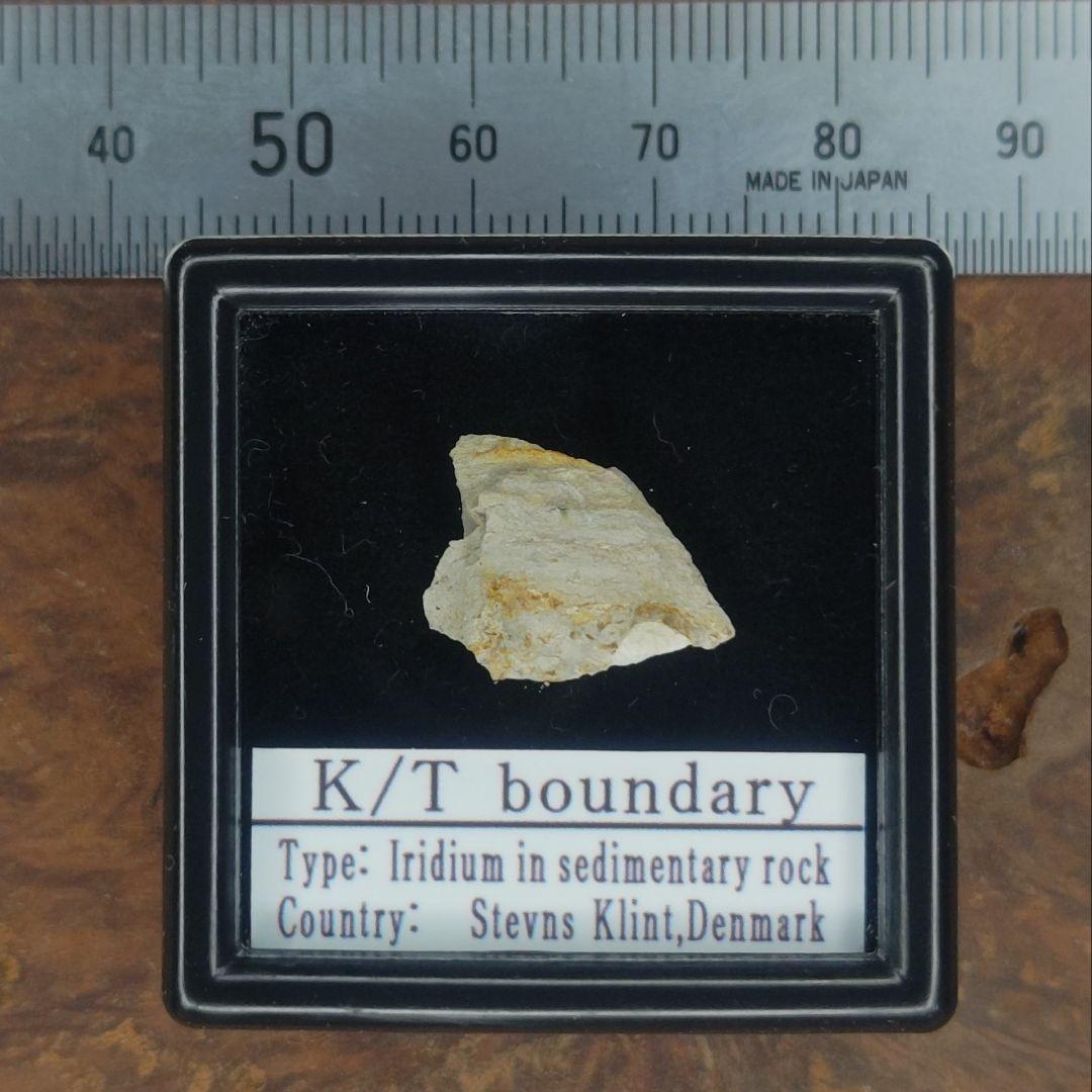 入手不可！小惑星のかけら Ｋ-Ｔ境界層（K/Pg境界頁岩）　標本