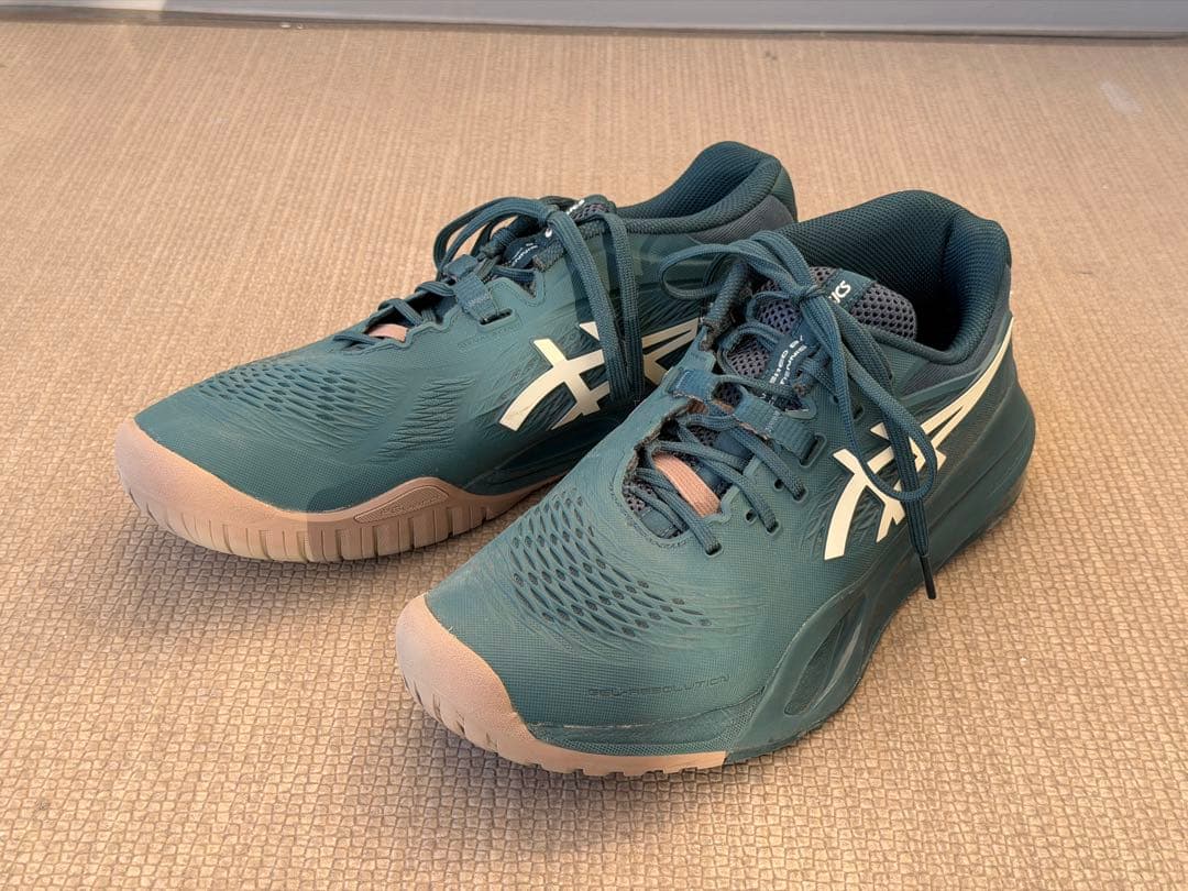 【値下げ】GEL-RESOLUTION X