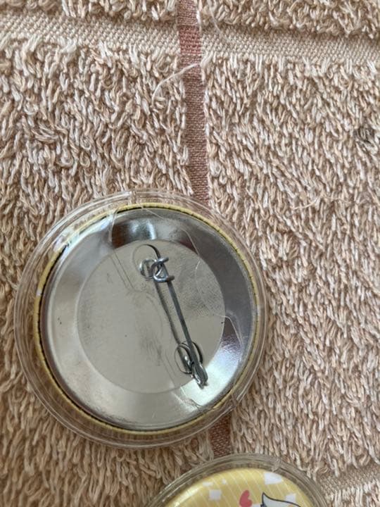 イケカテ ゆーくり フルーツバスケット 缶バッチ