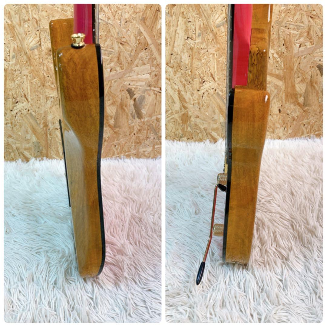 bacchus HGD custom 24 MG ソフトケース付き