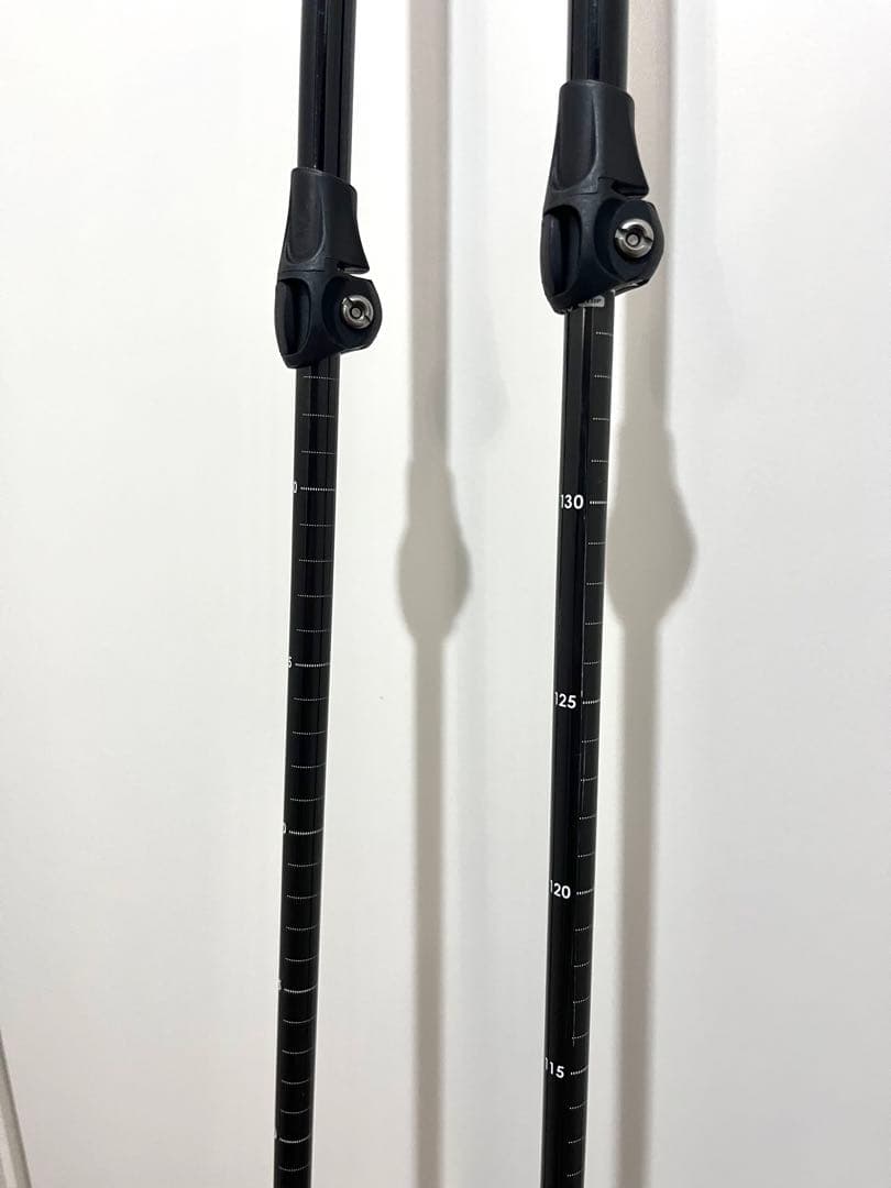 VECTOR GLIDE V STICK スキーポール