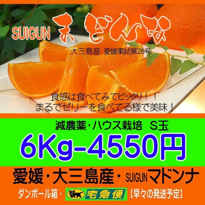 【りょう】SUIGUNマドンナS6Kg×２箱　　【２箱縛りでの発送】