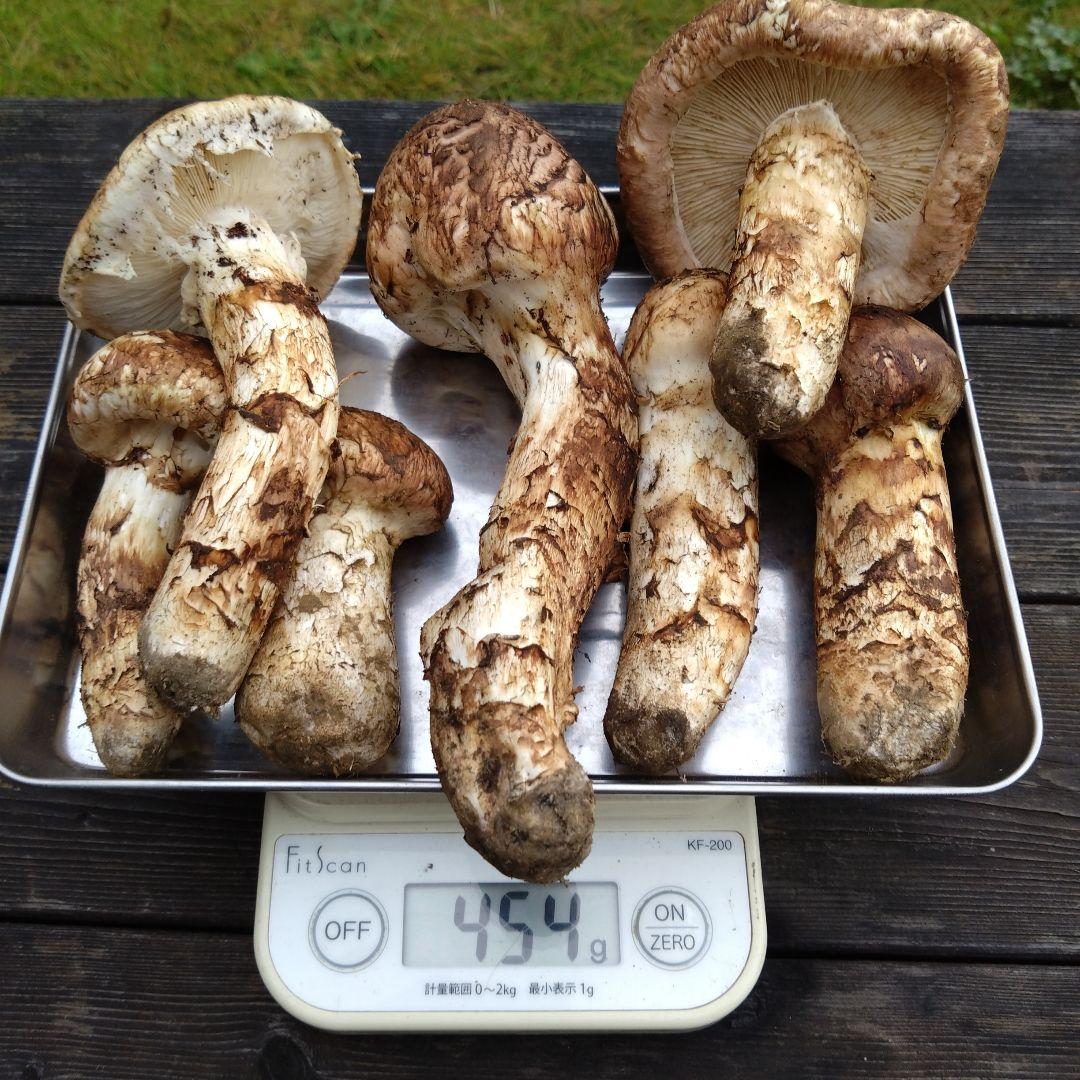 岩手県産マツタケ454g
