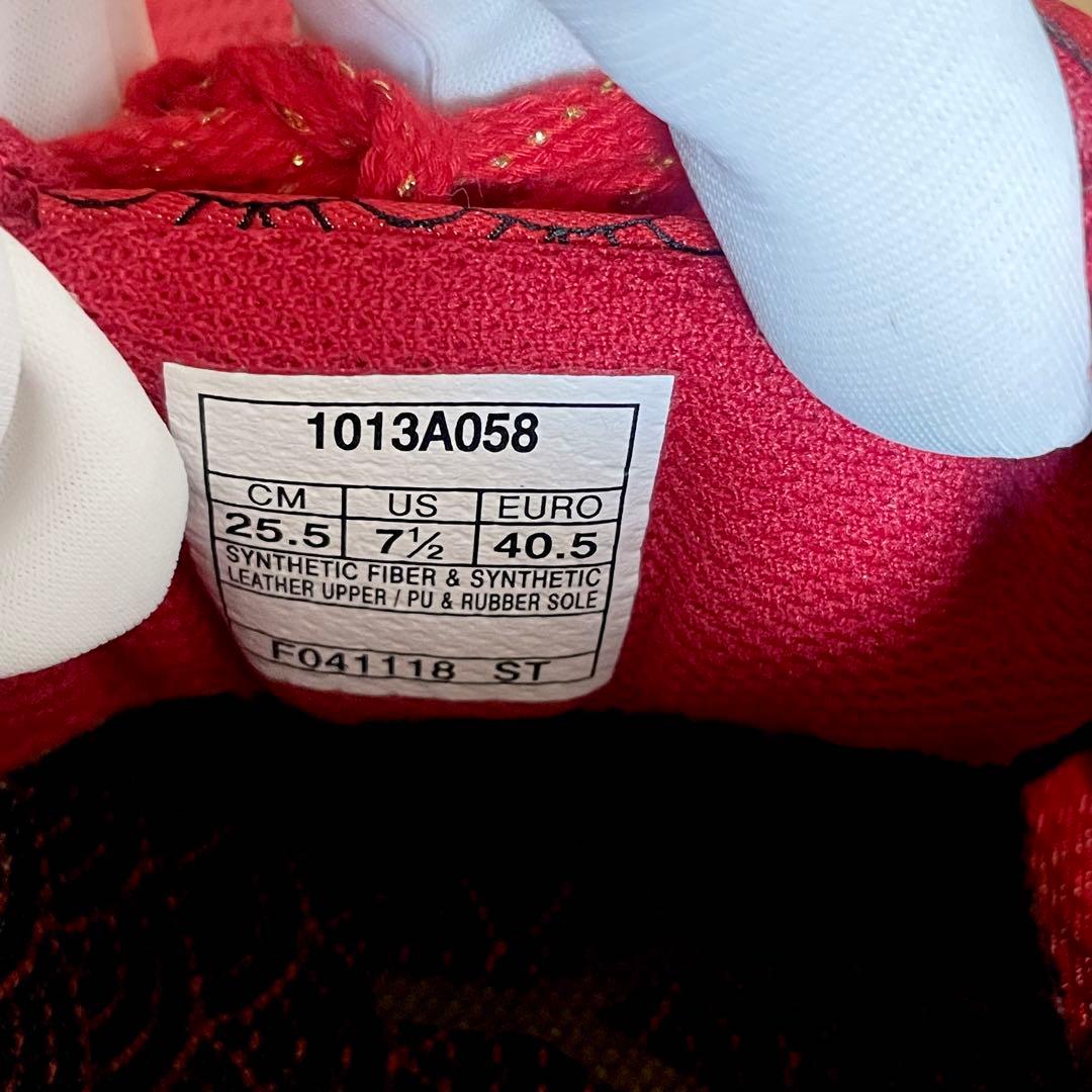 asics アシックス 25.5cm 東京マラソン2019記念シューズ　ターサー