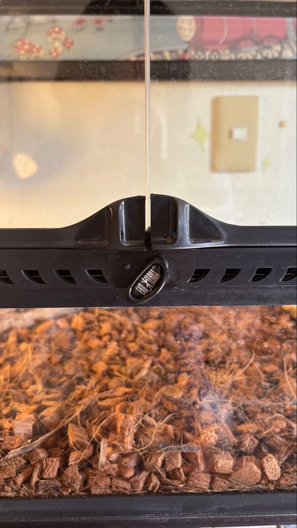 エキゾテラガラスケージ 90×45×45＋ ライト、パネルヒーター流木 餌皿