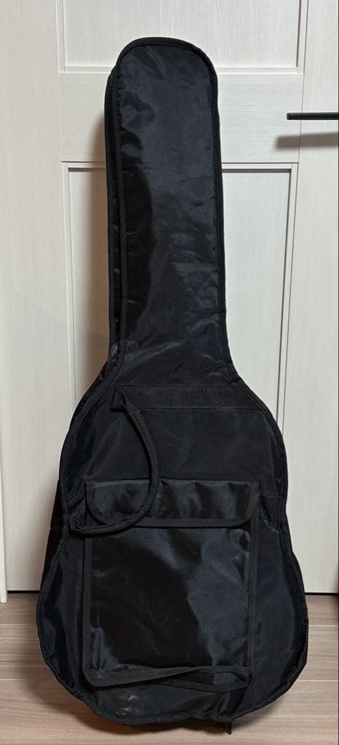 セミアコEpiphone Wildkat ビグズビー搭載 ワイルドキャット