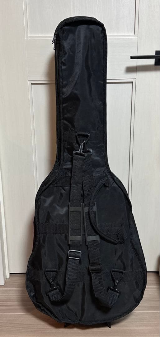 セミアコEpiphone Wildkat ビグズビー搭載 ワイルドキャット