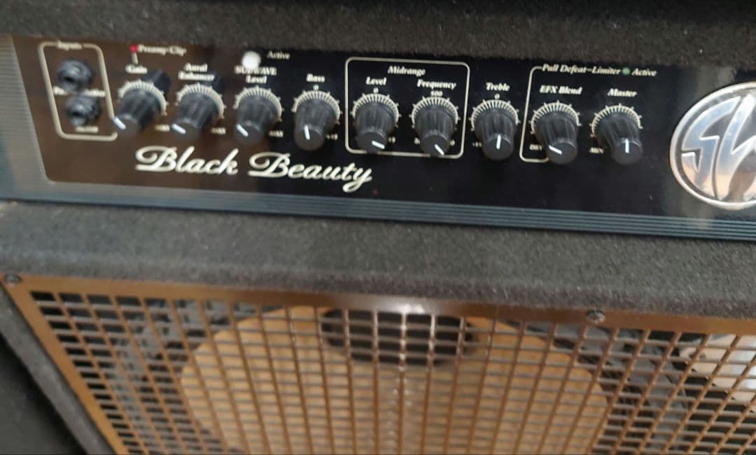 ■■SWR Black Beauty ベース用コンボアンプ【真空管アンプ】