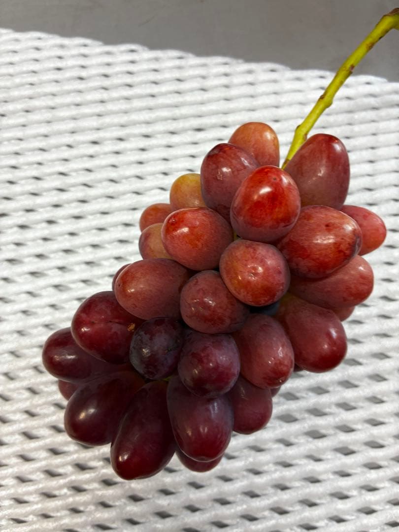 超訳あり本日発送クイーンルージュ約3.1k/家庭用/加工用/お菓子作りに