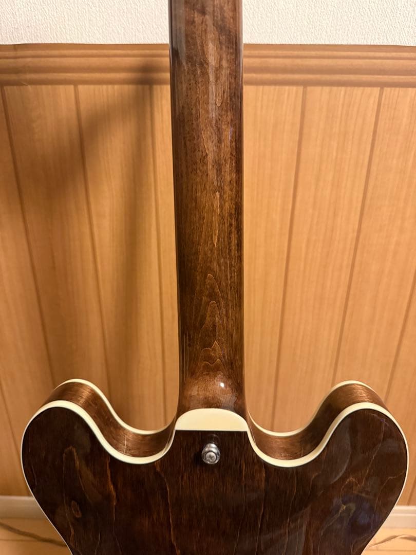 EXRUBATO-STD/S-JT セミアコ