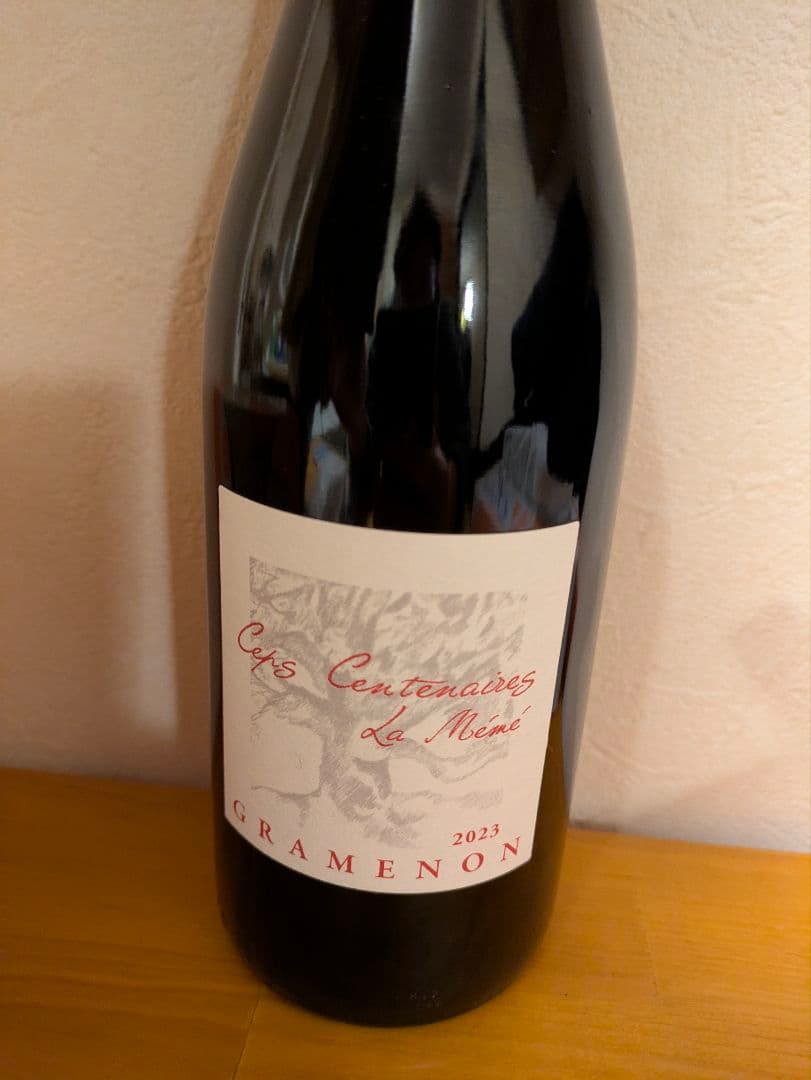 グラムノンのメメ！！