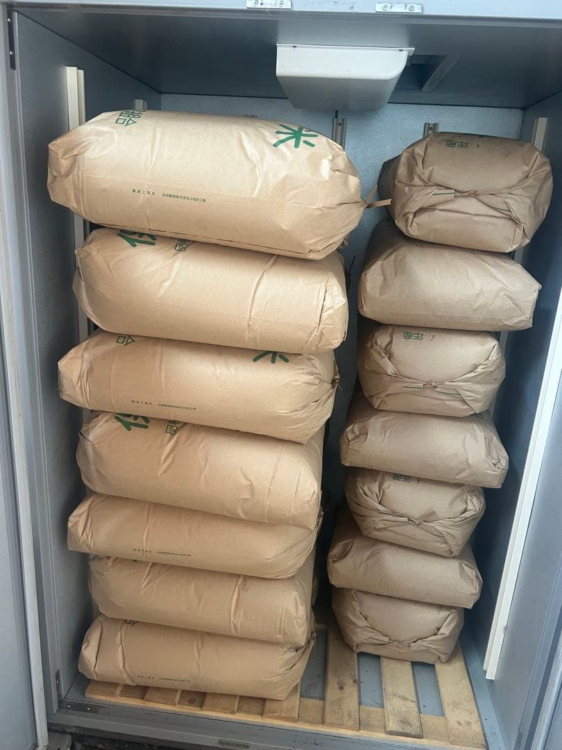 新鮮な白米 令和7年産　とちぎの星　10kg