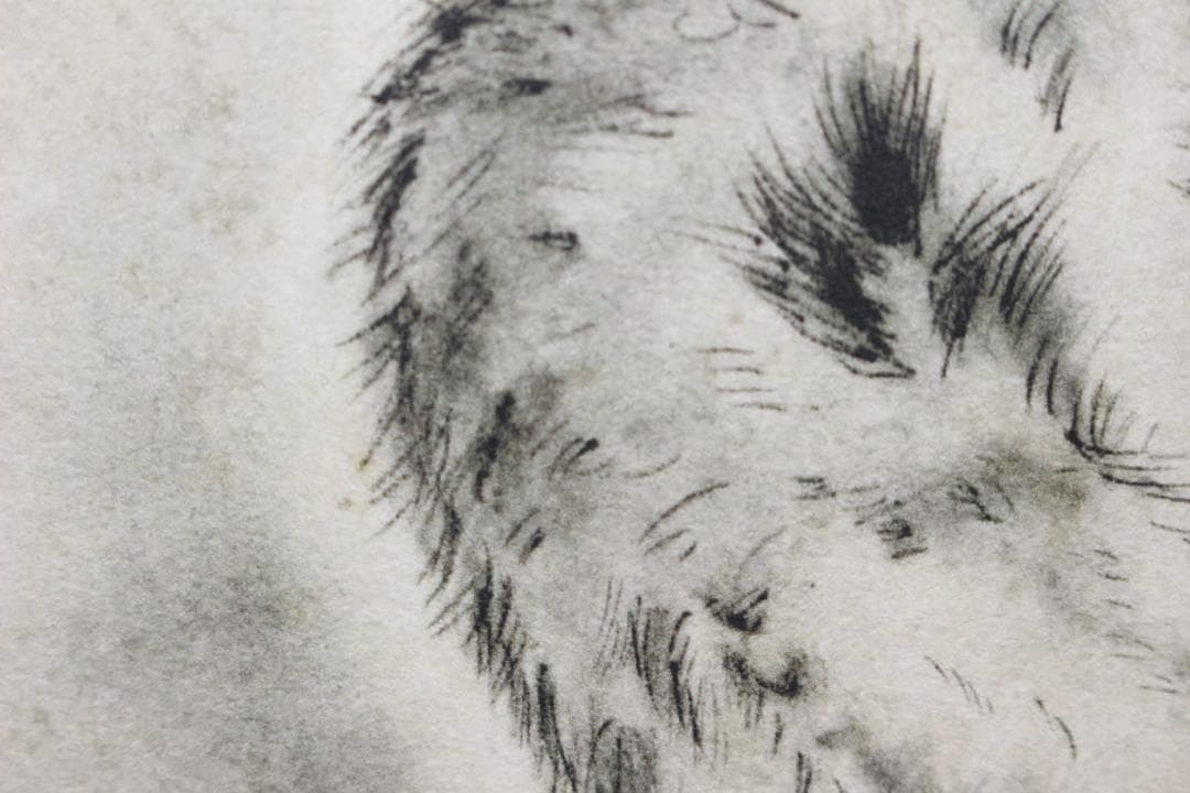 藤田嗣治 エスタンプリトグラフ 「眠る猫」 75部限定 7/75