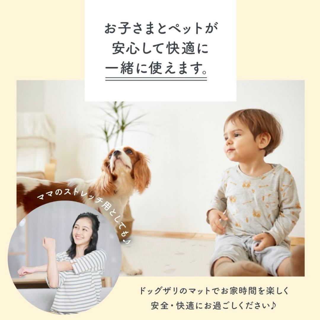 p!nkさま専用　ピュリナ付き