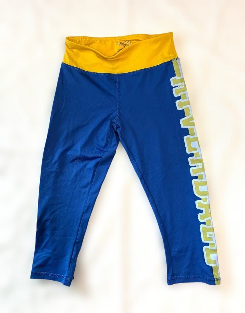 DALE チアリーディングウェア 上下セット ボンボン リボン