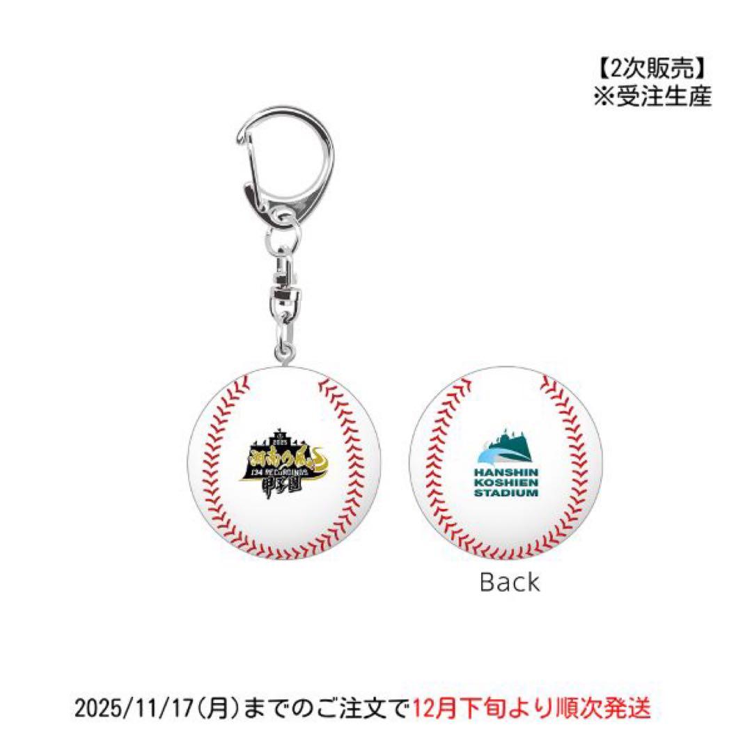 湘南乃風　熱唱甲子園　ユニフォームクッション　キーホルダー　Vメガホン　ボール