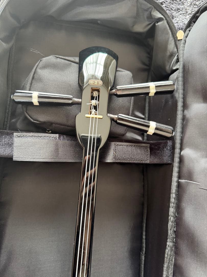 三線 蛇皮ボディ ケース付き