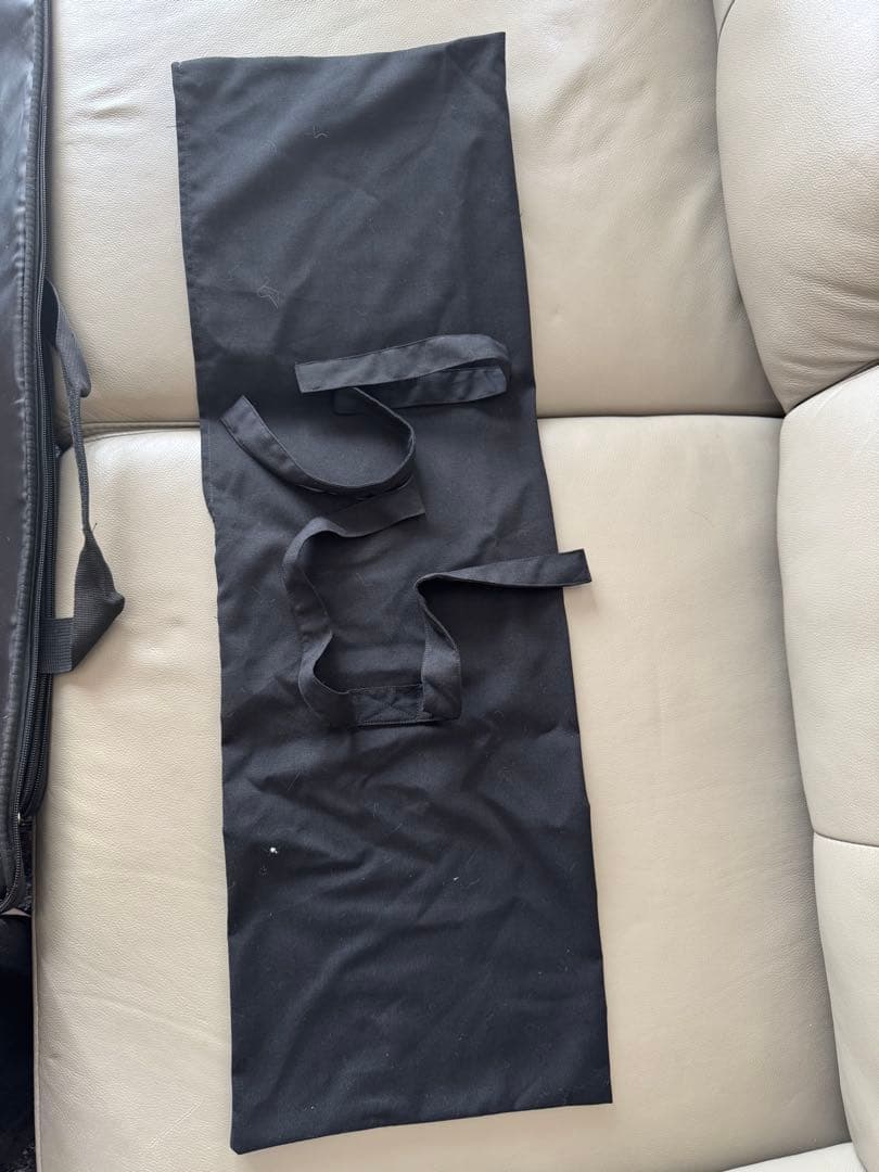 三線 蛇皮ボディ ケース付き