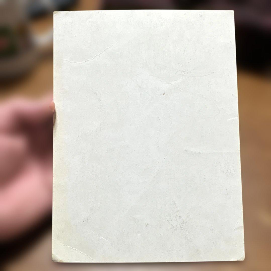 希少　魔神英雄伝ワタル　ジャンボカード　パロD キラ