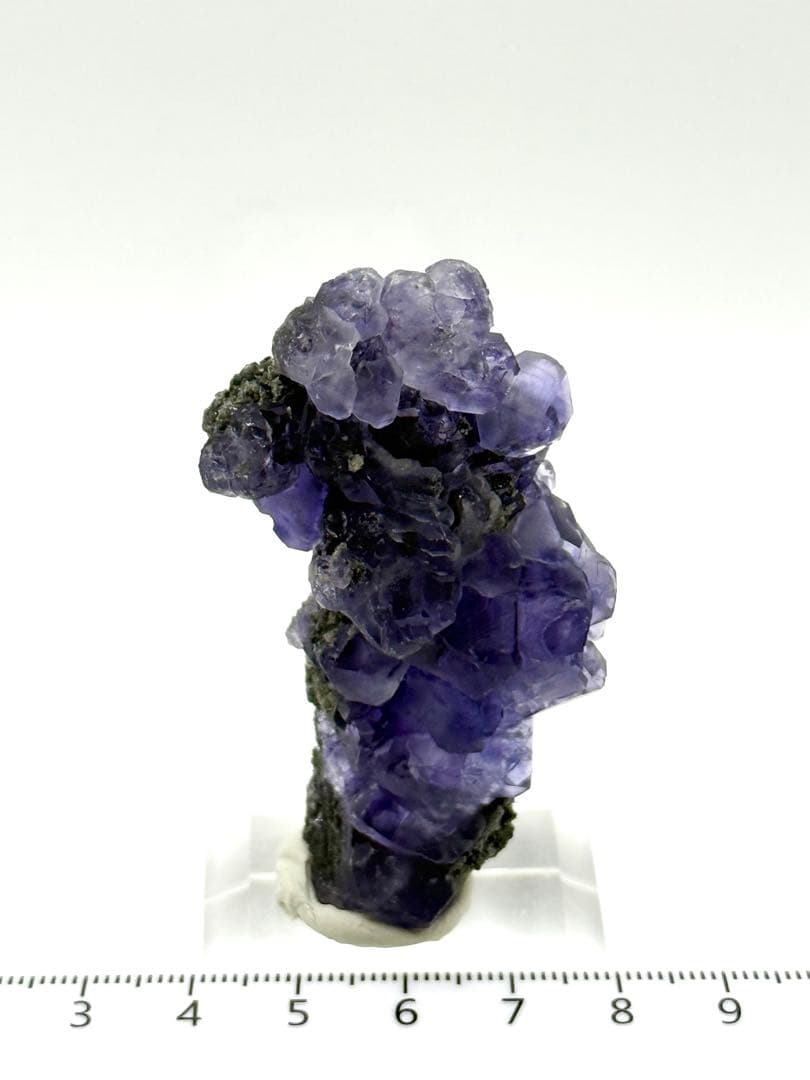 『ツリー』タンザナイト　フローライト　原石　鉱物標本　天然石　蛍石