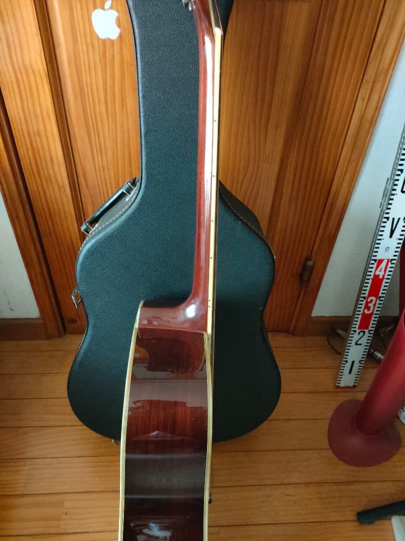 Morris アコースティックギター、レアカラー