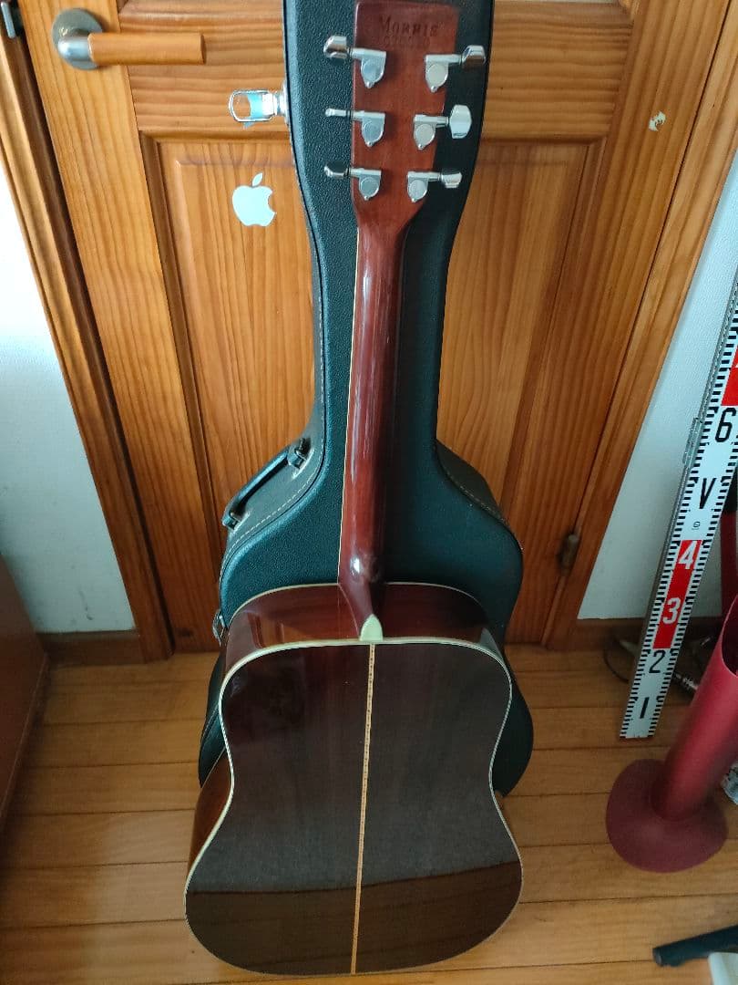 Morris アコースティックギター、レアカラー