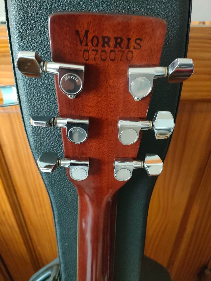Morris アコースティックギター、レアカラー