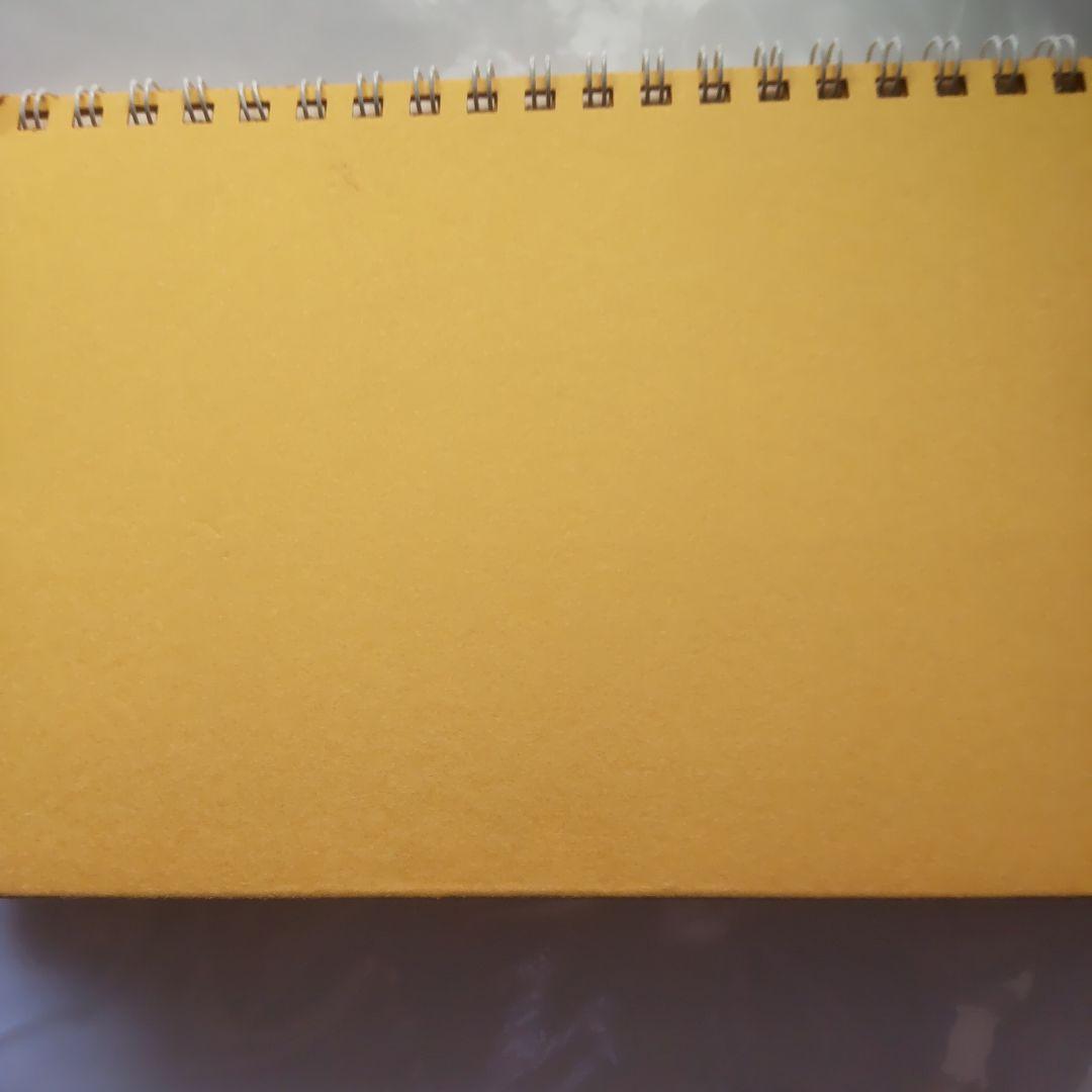 ⚠️即購入不可⚠️Janne Da Arc 邪似巣セット