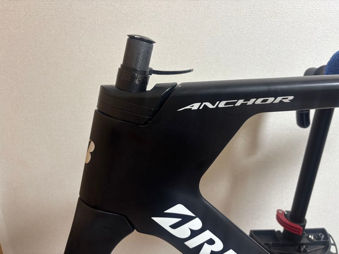 値下げ交渉可‼️ブリヂストン　TE9 カーボンフレーム　Mサイズ