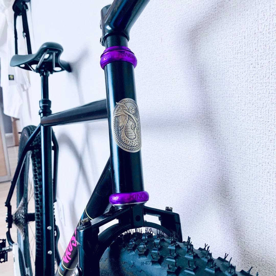 交渉中CRUST BIKE crankbrothersIndustrie