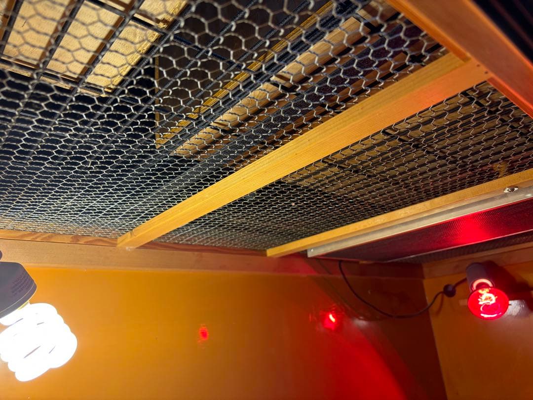 大型爬虫類用ケージ 120×60×高さ45