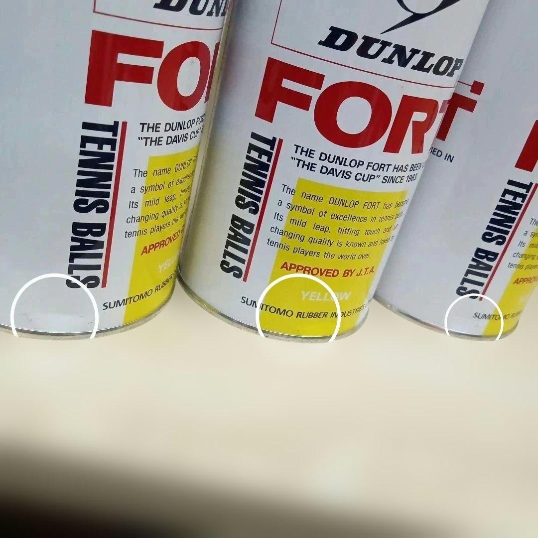 DUNLOP/ダンロップ テニスボール FORT 2球入×24缶
