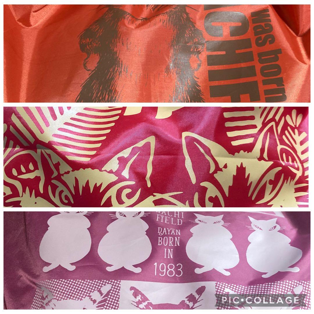 わちふぃーるど　ダヤン福袋　2026 2025 2026 抜き取り無し