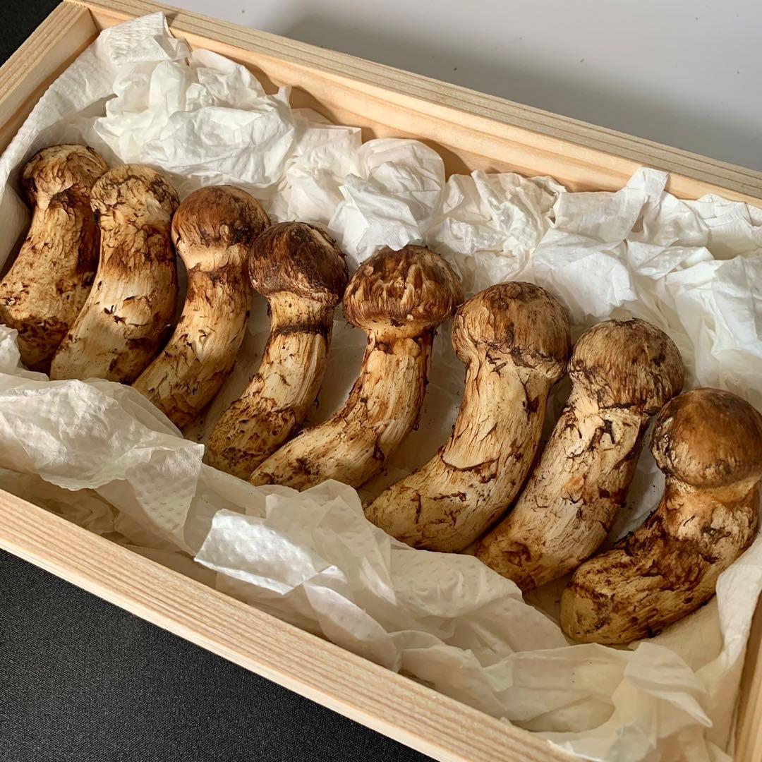 【岩手県産天然松茸】100g×3袋　松茸ご飯土瓶蒸し用　300g 産地直送