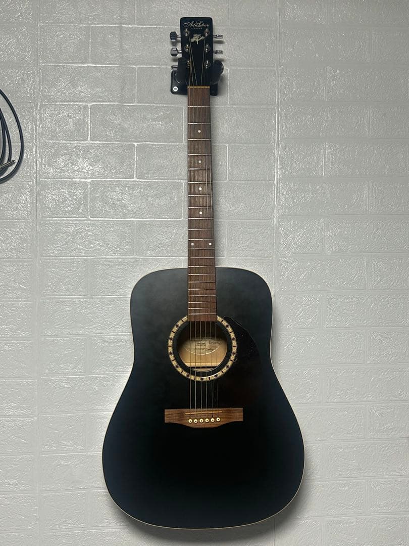 【比較的美品】Godin Art&Lutherie Ceder Black