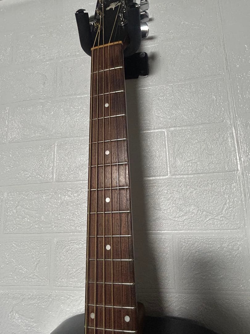 【比較的美品】Godin Art&Lutherie Ceder Black