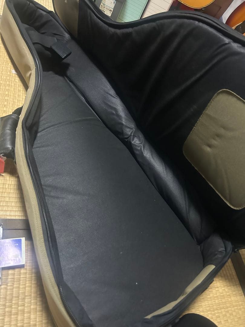 【比較的美品】Godin Art&Lutherie Ceder Black