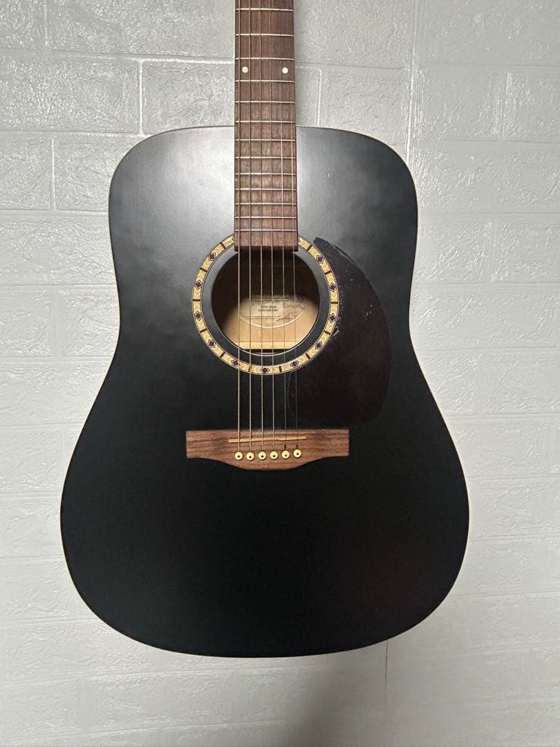 【比較的美品】Godin Art&Lutherie Ceder Black
