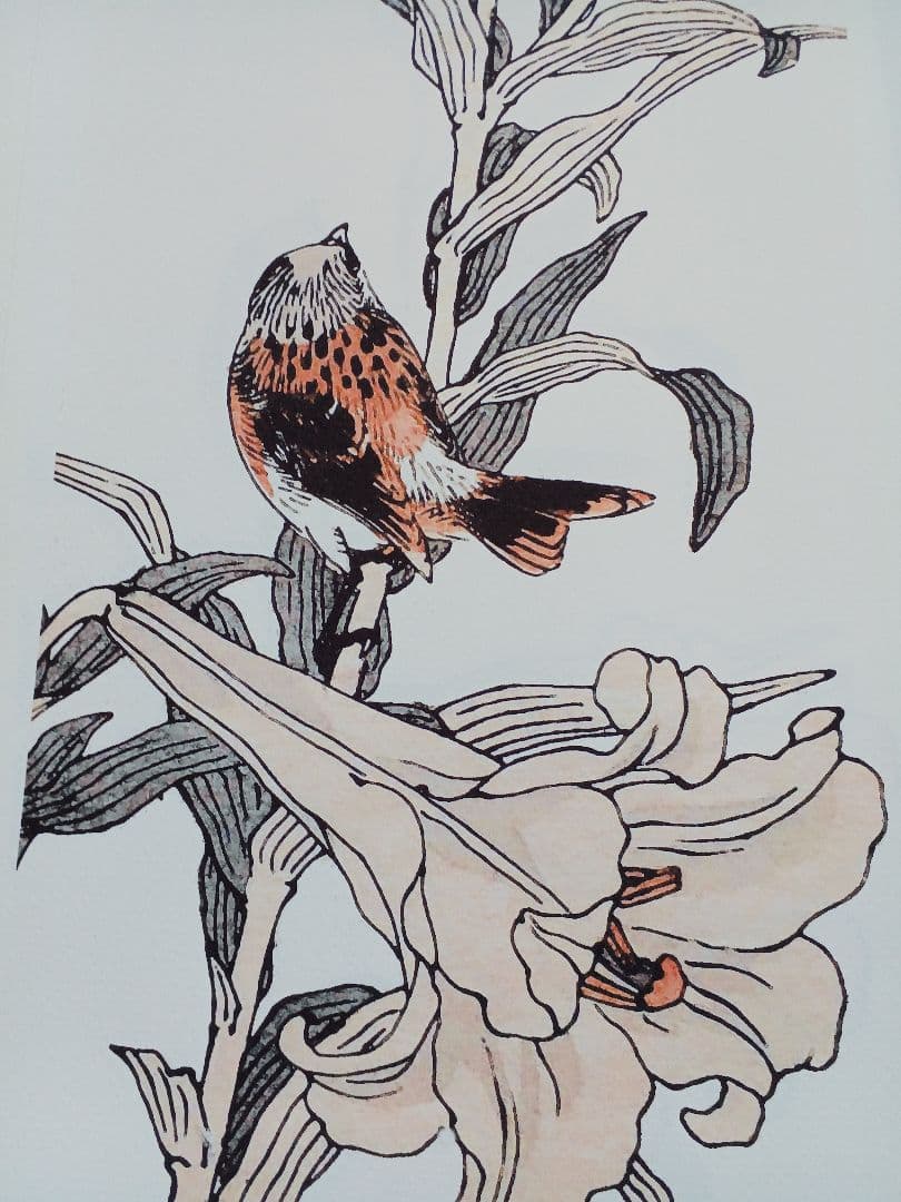 江戸屋版　媒嶺花鳥画譜第1編 27図 手作り古画修復　浮世絵風