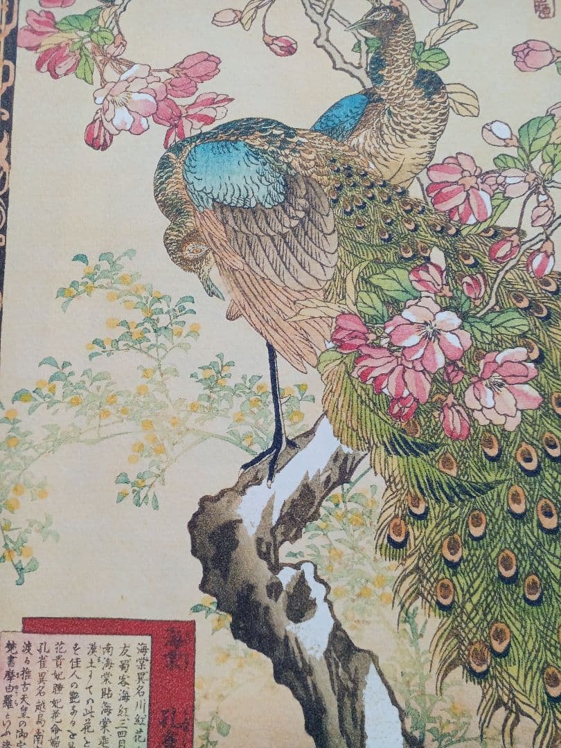 江戸屋版　媒嶺花鳥画譜第1編 27図 手作り古画修復　浮世絵風