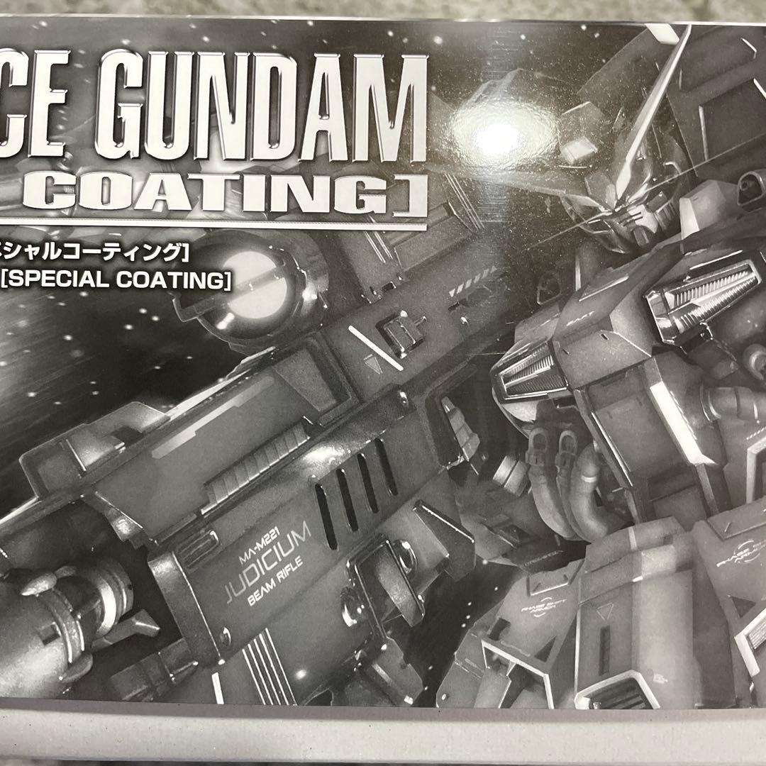 ＭＧ 1/100 プロヴィデンスガンダム 　スペシャルコーティング