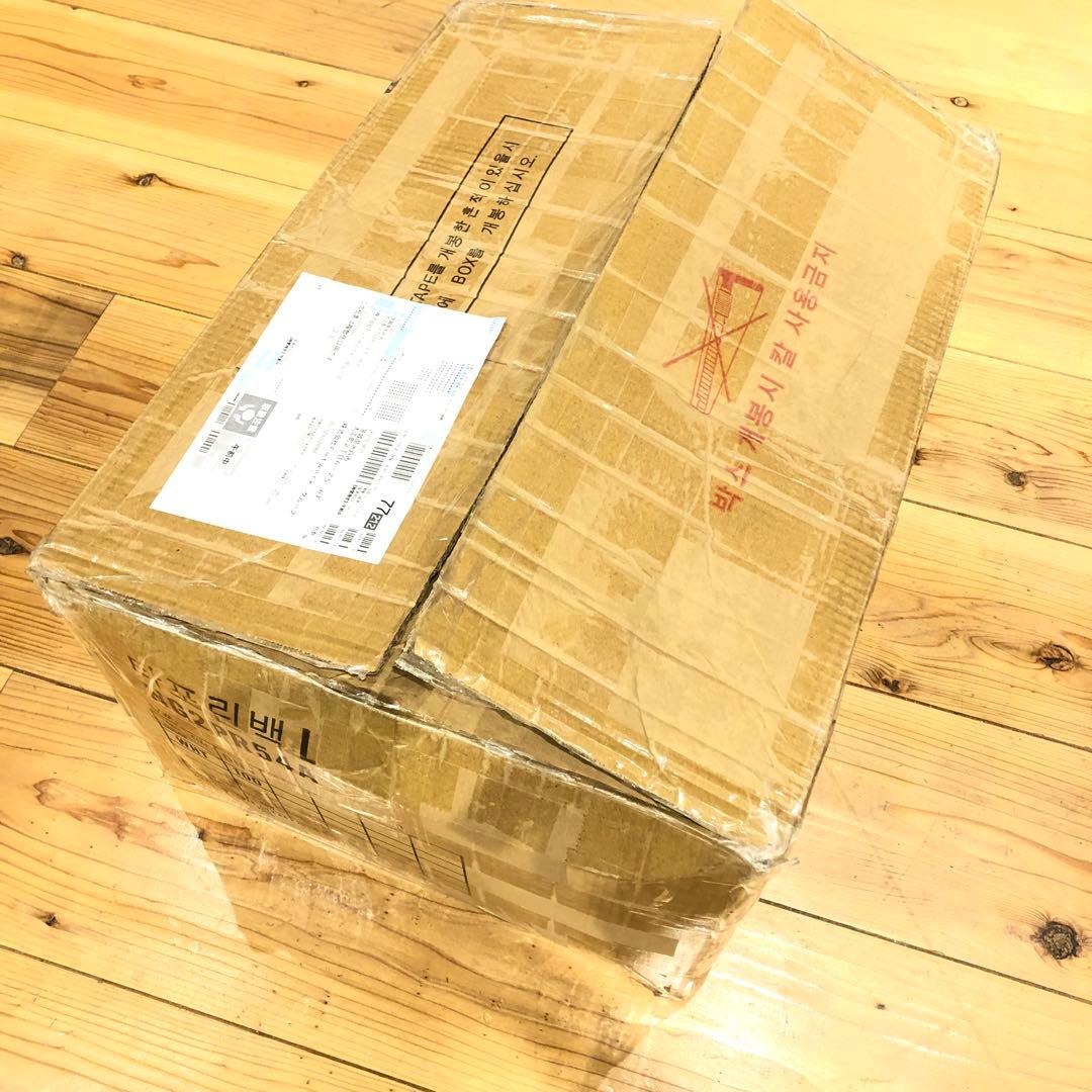 THE NORTH FACE エコバッグ Lサイズ 100枚セット