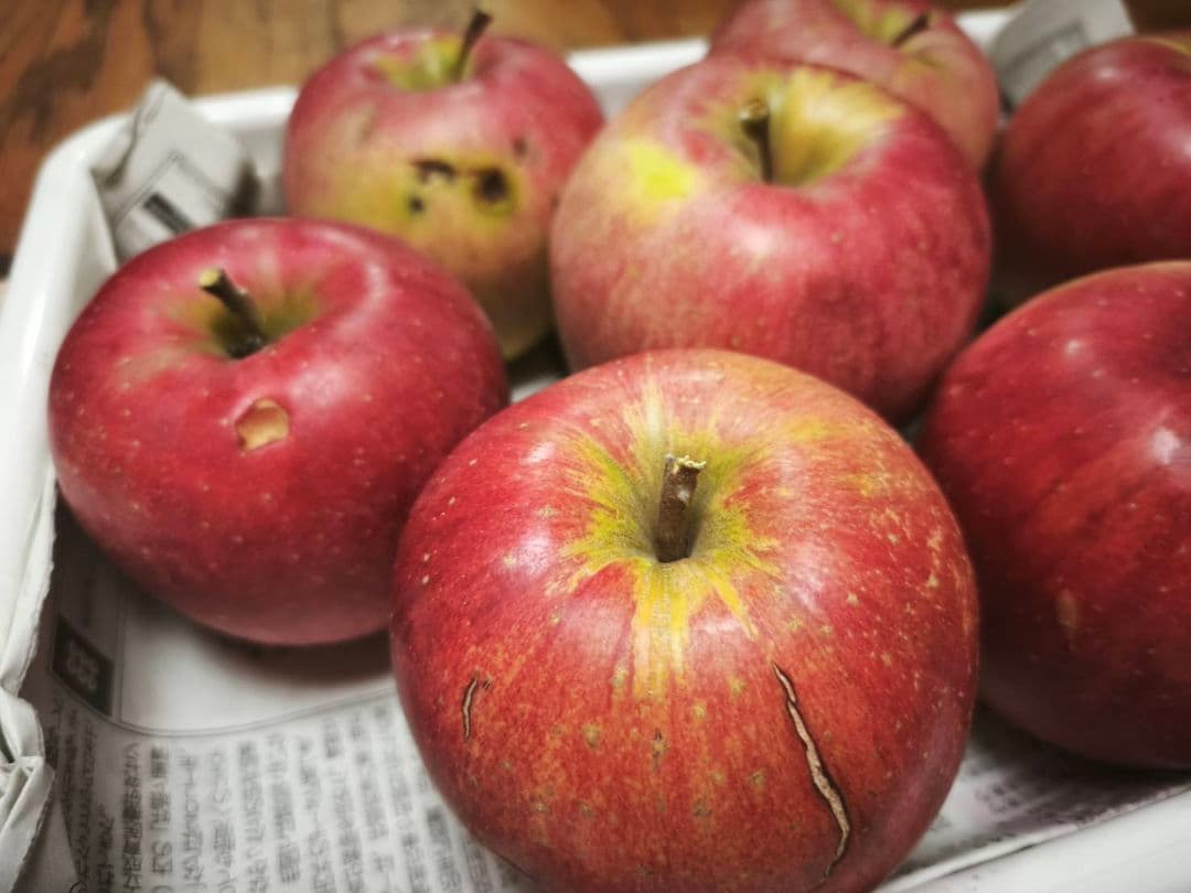 訳ありりんご　鳥のつつき 1キロ　商品説明