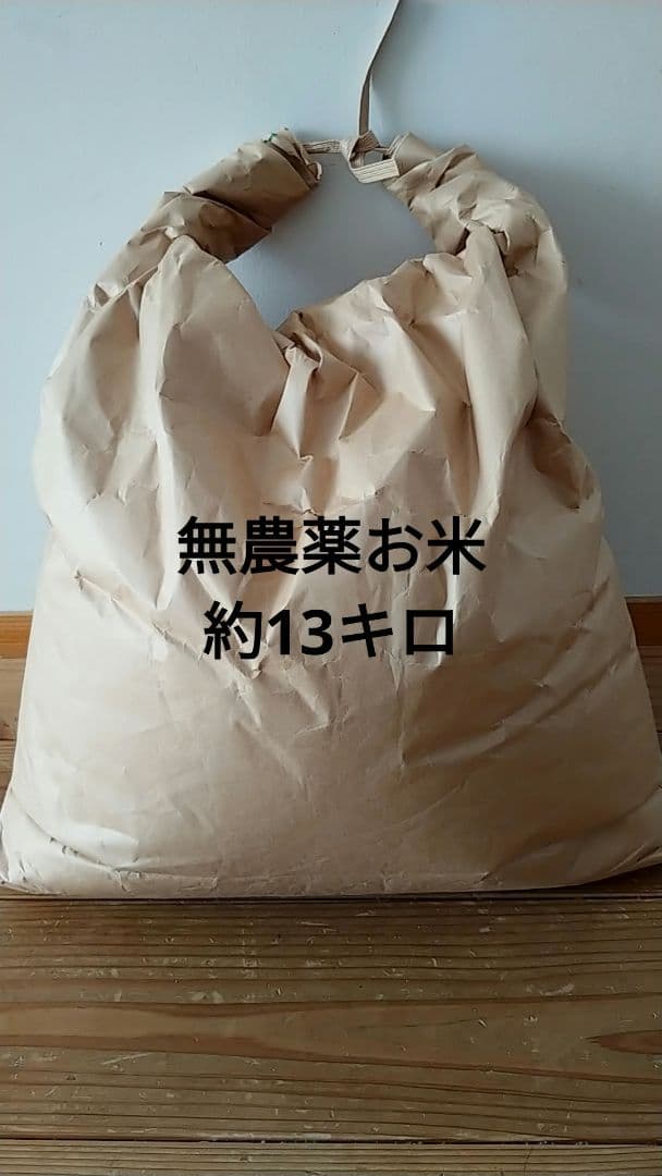 【本日限定セール】無農薬お米　約13キロ　令和7年収穫　ミルキークイーン　玄米